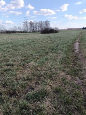 Działka Susk Stary -Ławy