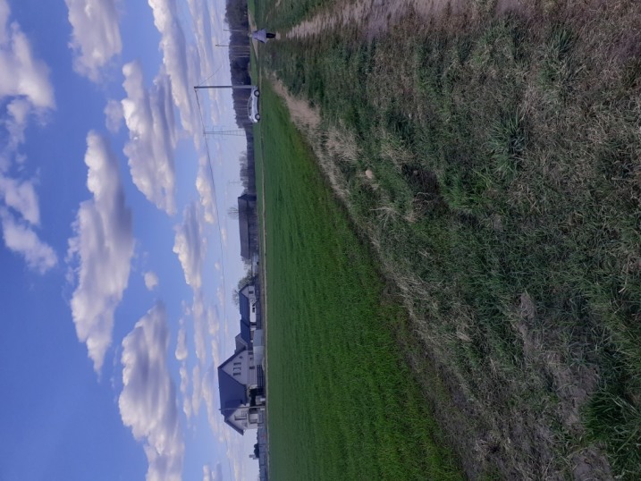 Działka Susk Stary -Ławy