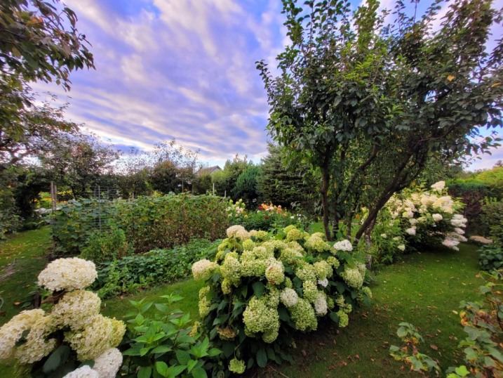 Sprzedam działkę na Bemowie 20tys zl