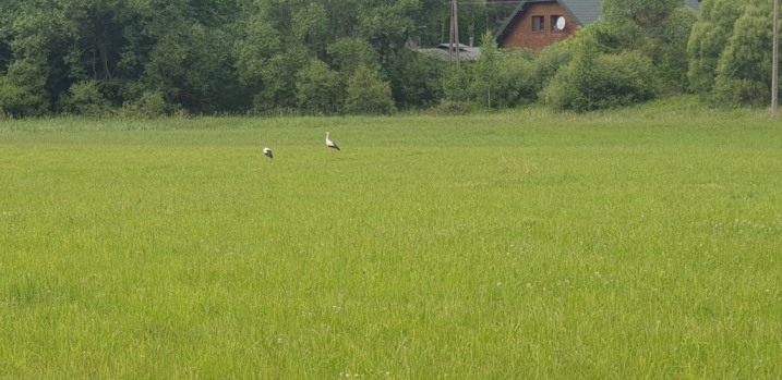 Działka inwestycyjna - Kamianka 9 arów, przy głównej drodze.