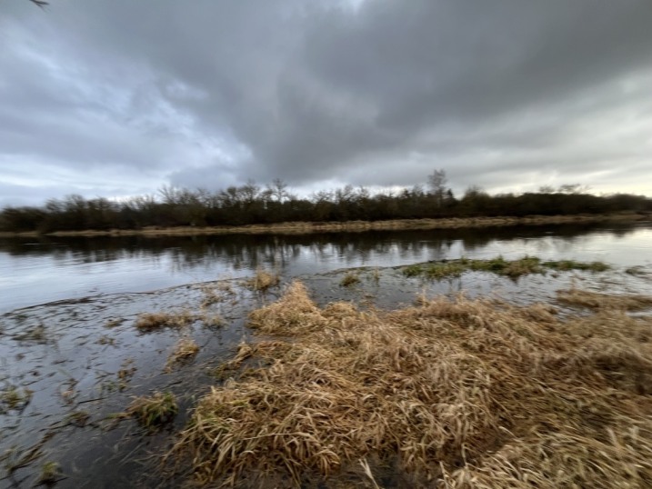 Kordowo  działka leśna 0.34 z dostępem do Narwi