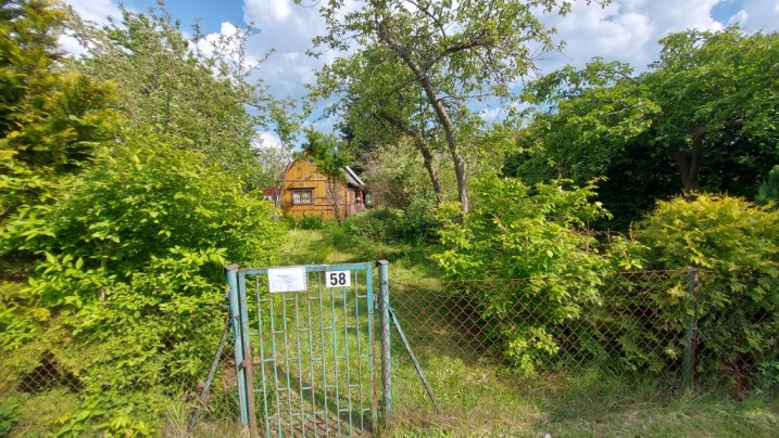 Działka ROD Czeczotka Dwie połączone łącznie 600m2
