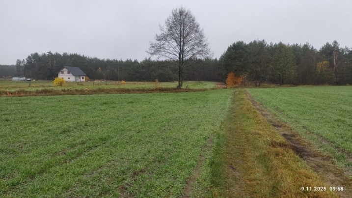 Żebry Ostrowy działka rolno - Leśna 1.32 ha