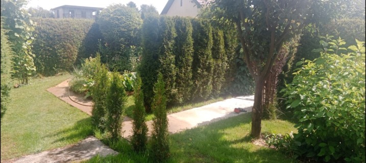 Sprzedam działkę ogrodniczą