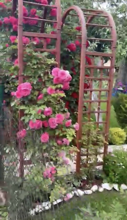 Sprzedam dzialke Rod Czeczotjka