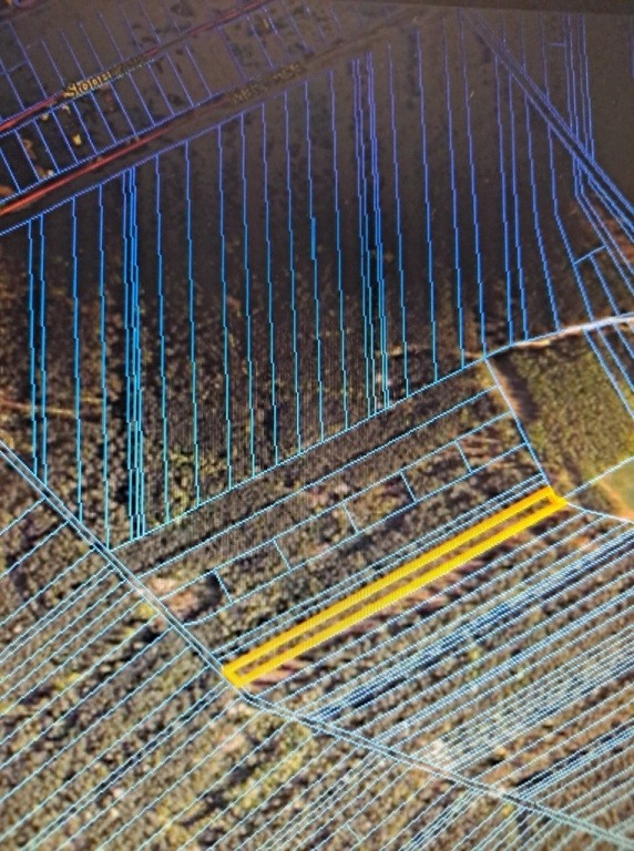 Na sprzedaż grunty leśne  Laskowiec