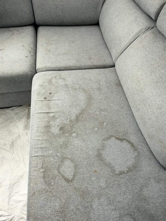 usługi sprzątające, mycie okien,pranie tapicerki