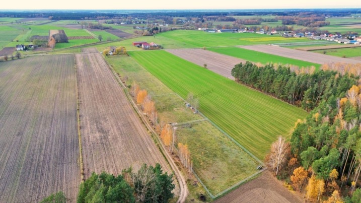 Działki budowlane w Gocłach, gm. Czerwin