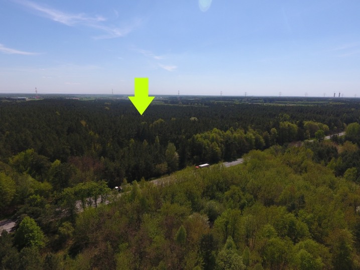 Na sprzedaż działka leśna 42a w Laskowcu