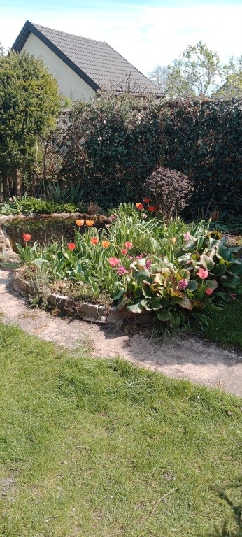 Sprzedam ROD Bemowo 300m2