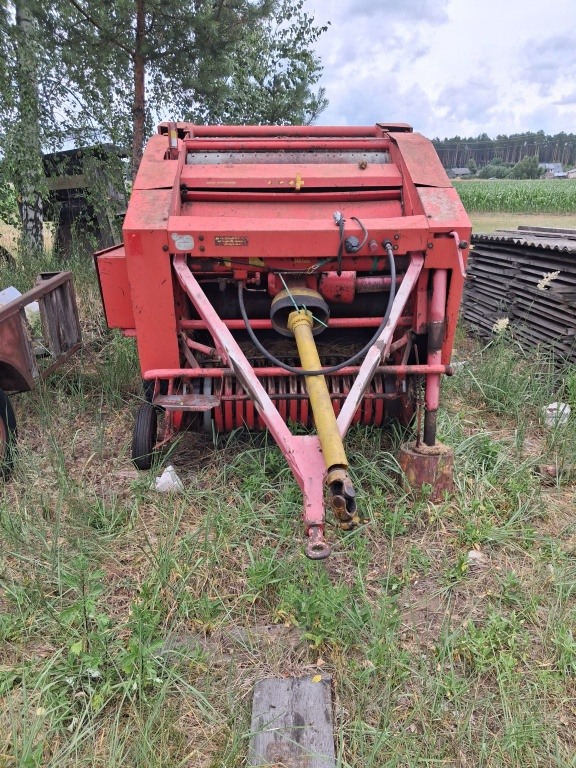 Belarka welgier