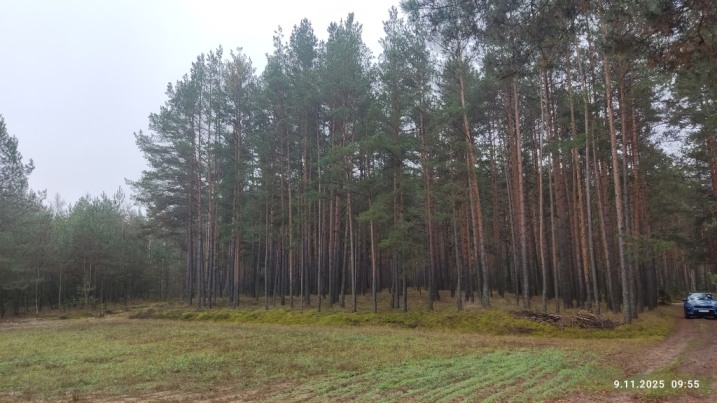Żebry Ostrowy działka rolno - Leśna 1.32 ha