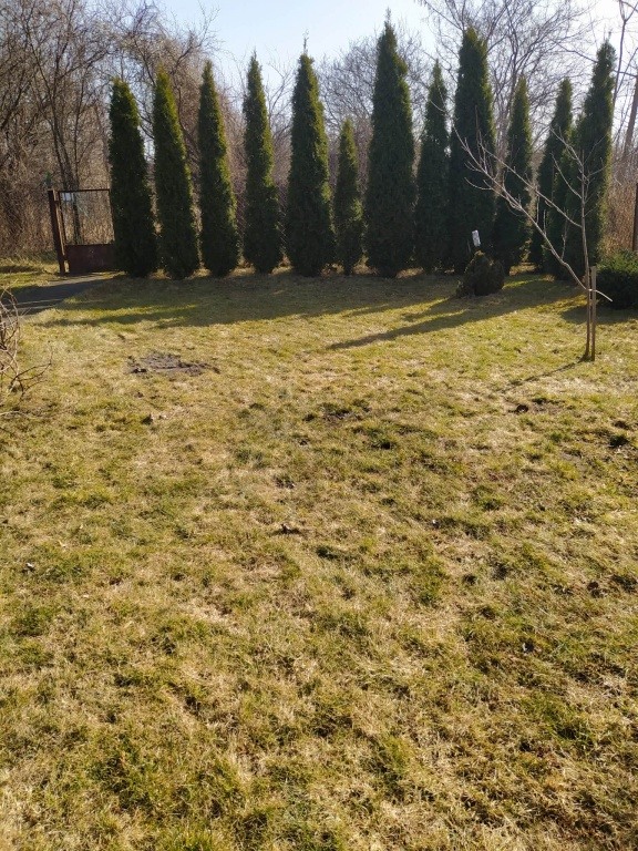 Działka ROD ,,Czeczotka'' bardzo ładna