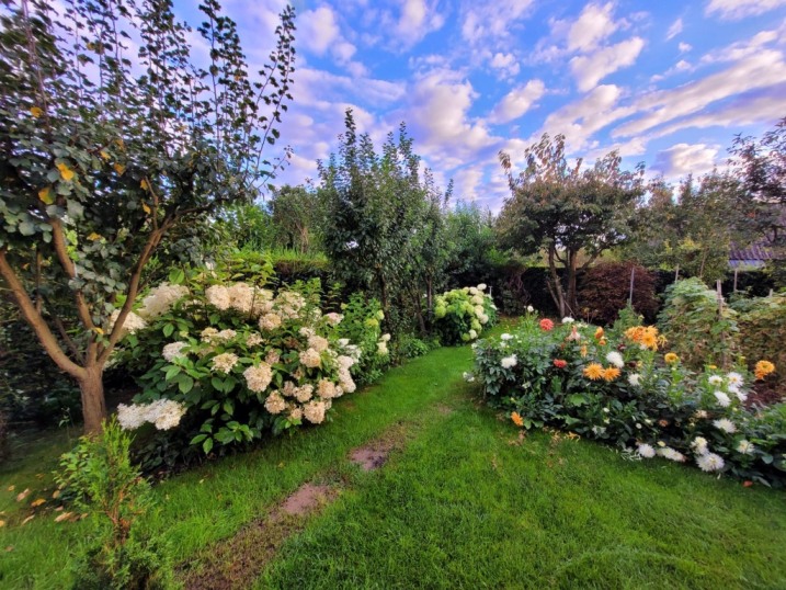 Sprzedam ROD na Bemowie 20tyś.