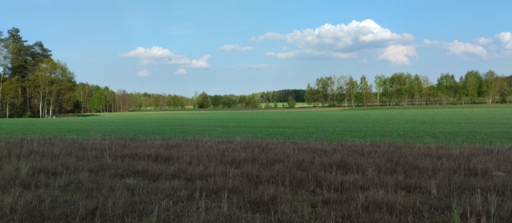 Sprzedam działki budowlane