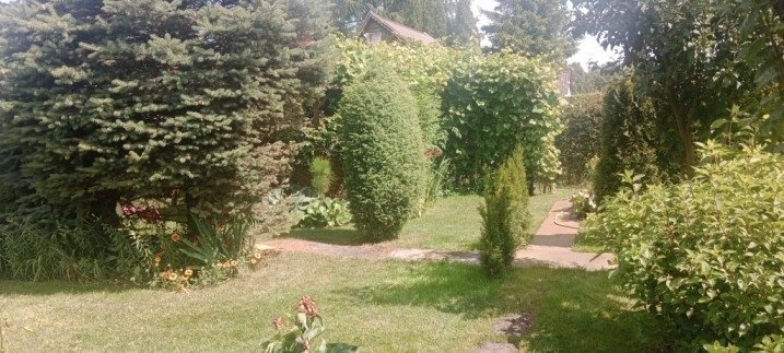 Sprzedam 300m2 Bemowo 33000