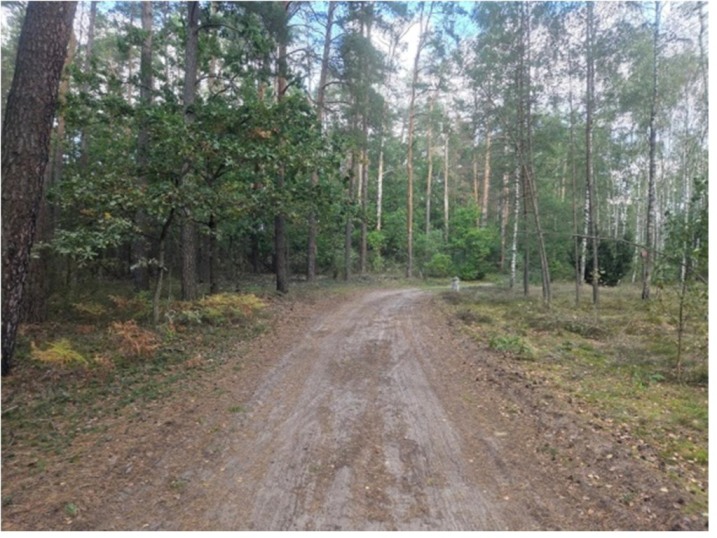 Baranowo - sprzedam działkę leśną rolną nr1159 pow.1.53ha