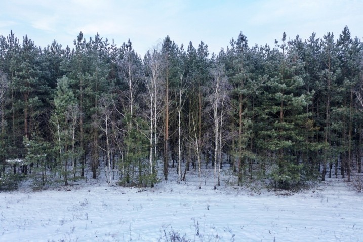 Działka mieszkaniowa 12,4 ar – Przytuły Stare