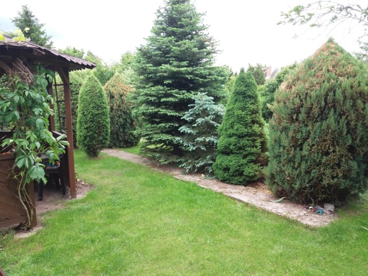 Sprzedam ROD Bemowo 300m2