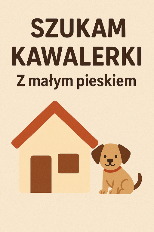 Szukam małego mieszkania do wynajęcia