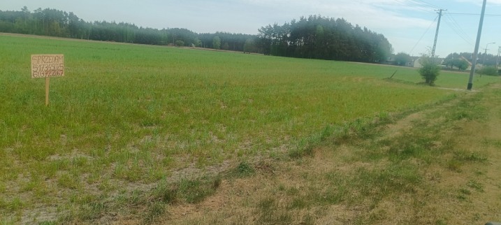 Działki