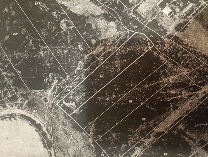 Sprzedam działkę rolną/łąkę