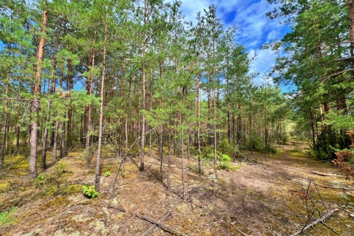 Działka rekreacyjna o pow. 1082 m2 - Wykrot (Kraina Kurpiowska)
