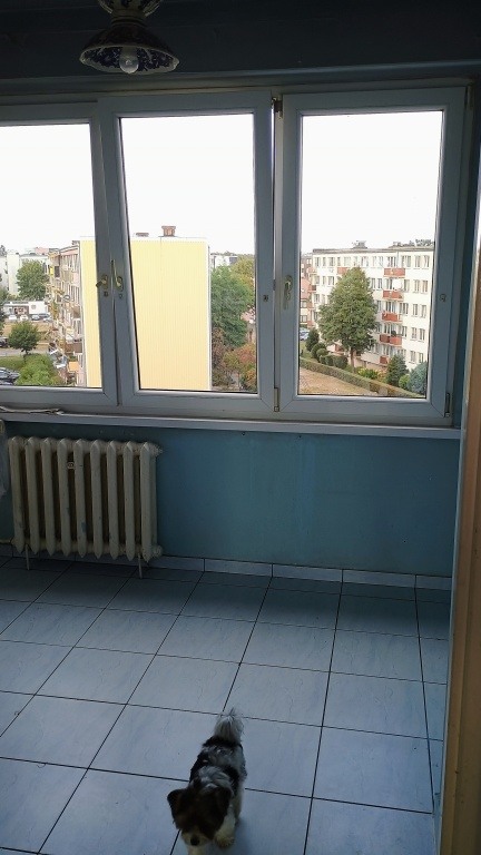 Sprzedam M4 48,17 m2