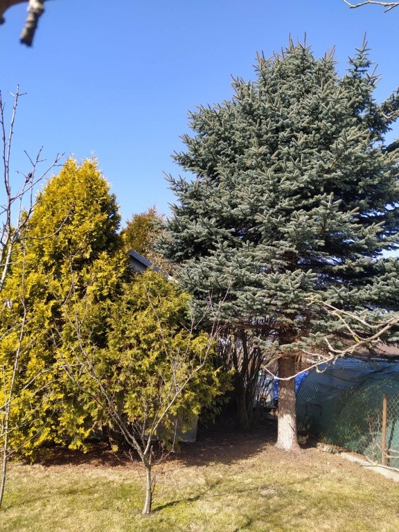 Działka ROD ,,Czeczotka'' bardzo ładna