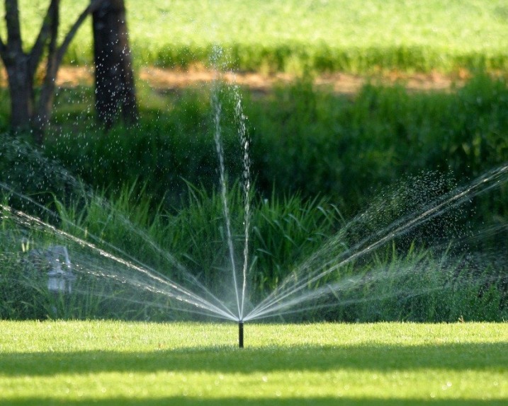 Zakładanie ogrodów, kostka brukowa, nasadzenia roślin, nawodnienie ogrodu