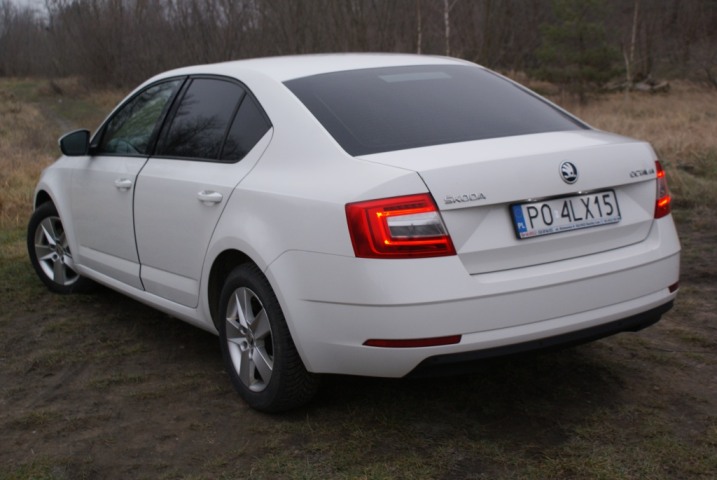 skoda octavia 2019