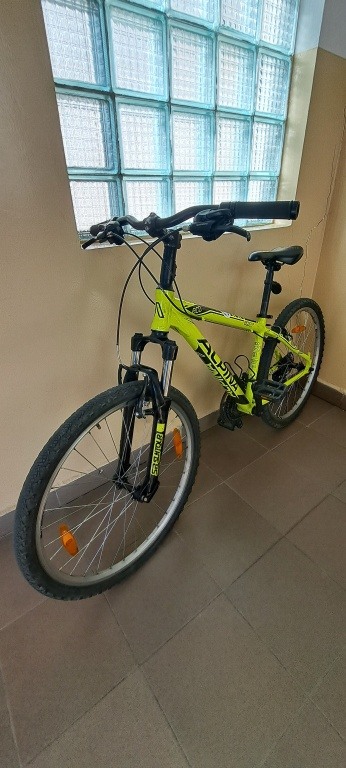 Rower Alpina