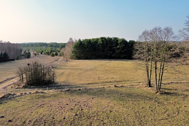Działka z warunkami zabudowy – Czartoria | 3000 m²