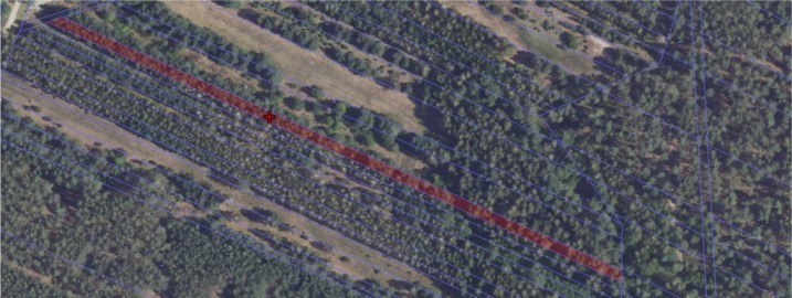 Baranowo - sprzedam działkę leśną rolną nr1023 pow.0.22ha