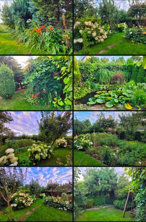 Sprzedam ROD Bemowo 300m2