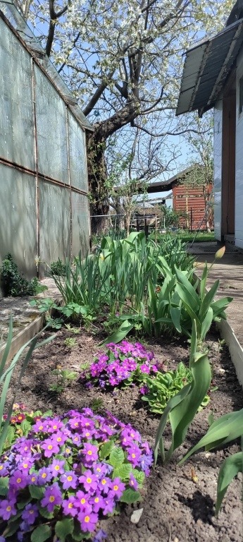 Działka ROD sprzedam