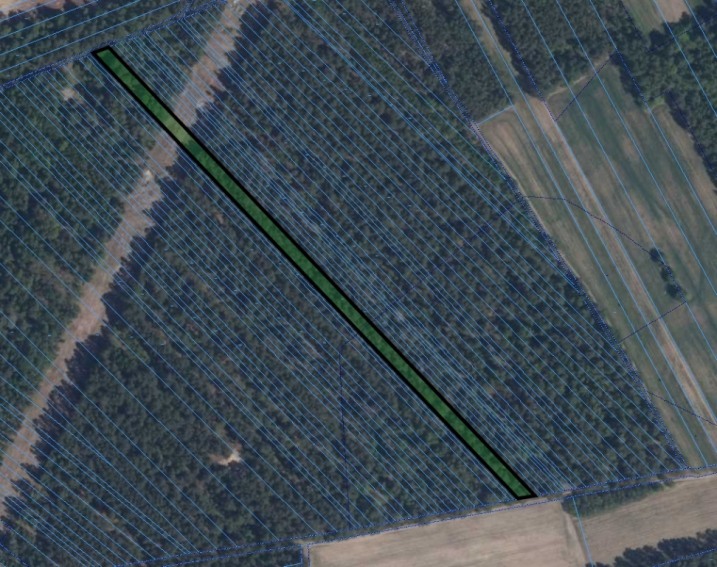 Sprzedam działkę leśną 0,51ha we wsi Rososz, gmina Wąsewo.