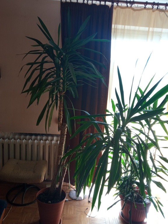 Sprzedam