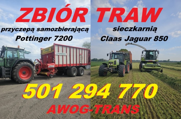 Zbiór traw
