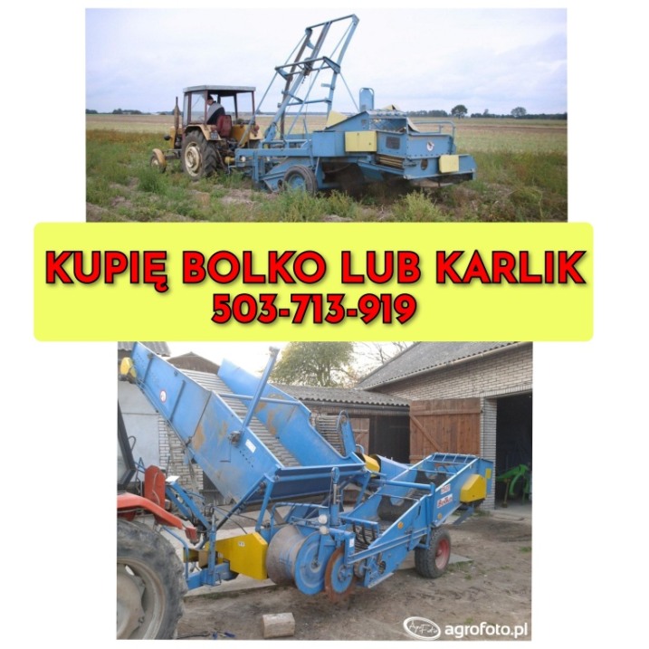 Kupię kombajn Bolko lub karlik