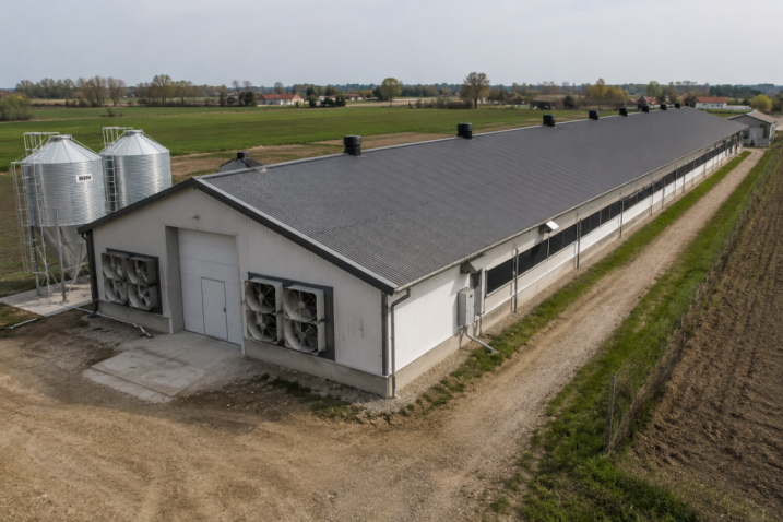 Budowa kurników i ferm drobiu – solidnie, terminowo, profesjonalnie