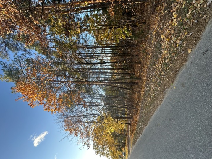 Działka budowlana w Laskowcu