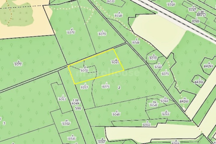 Las w Nakłach. 2,25 ha: sosna 47-75 lat