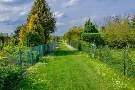 Posprzątamy Działkę Rod Ogródki Działkowe Czeczotka OBORNIK