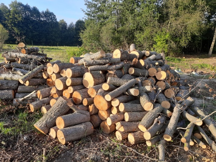 Sprzedam ok. 40 m3 olszyny