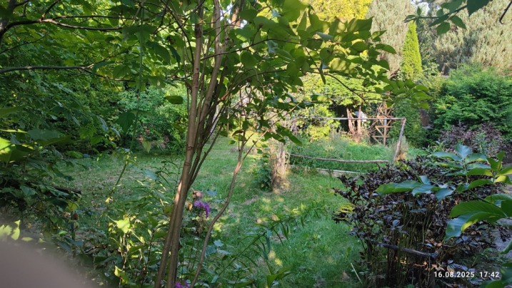 NA SPRZEDAŻ – DZIAŁKA” ROD CZECZOTKA”, nr 461