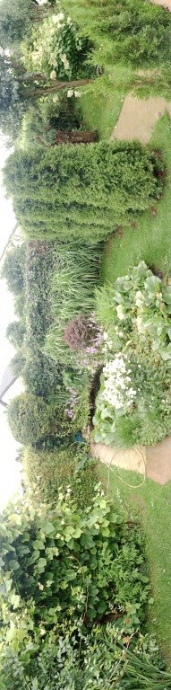 Sprzedam działkę na Bemowie 20tys zlotych