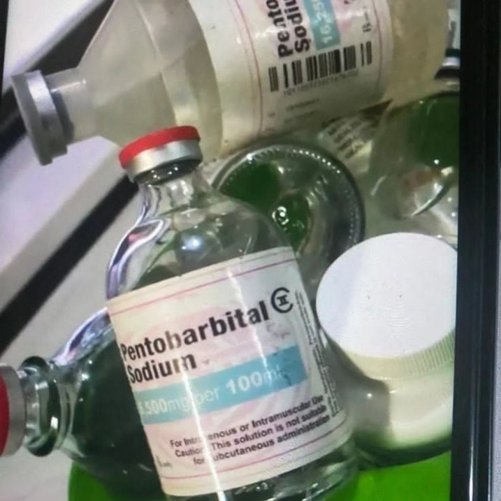 Kup Nembutal (pentobarbital/barbiturany) – płatność wyłącznie Bitcoinem
