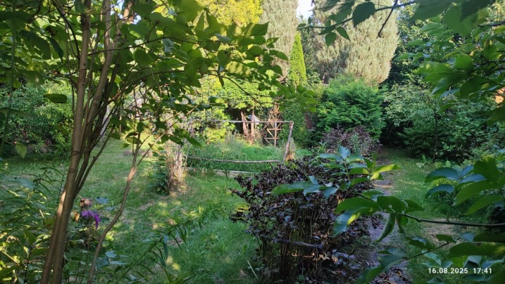 NA SPRZEDAŻ – DZIAŁKA” ROD CZECZOTKA”, nr 461