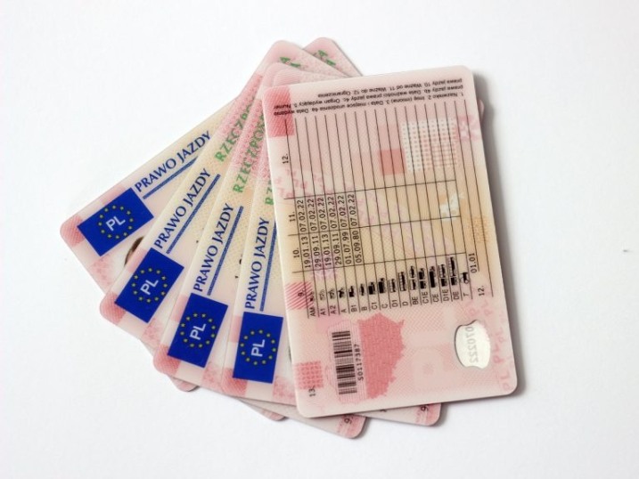 ekspresowe prawo jazdy online